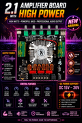 2.1 HIGH POWER AMPLIFIER BOARD WITH CONTROL (HT21)