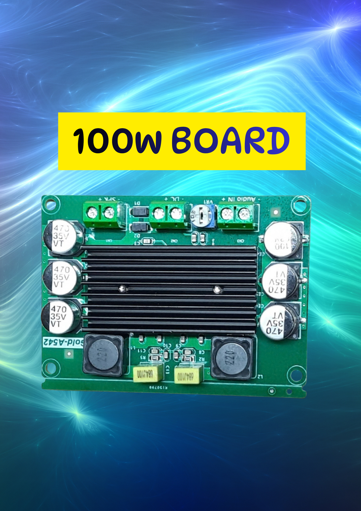 THUNDER CLASS-D BD 100W MONO