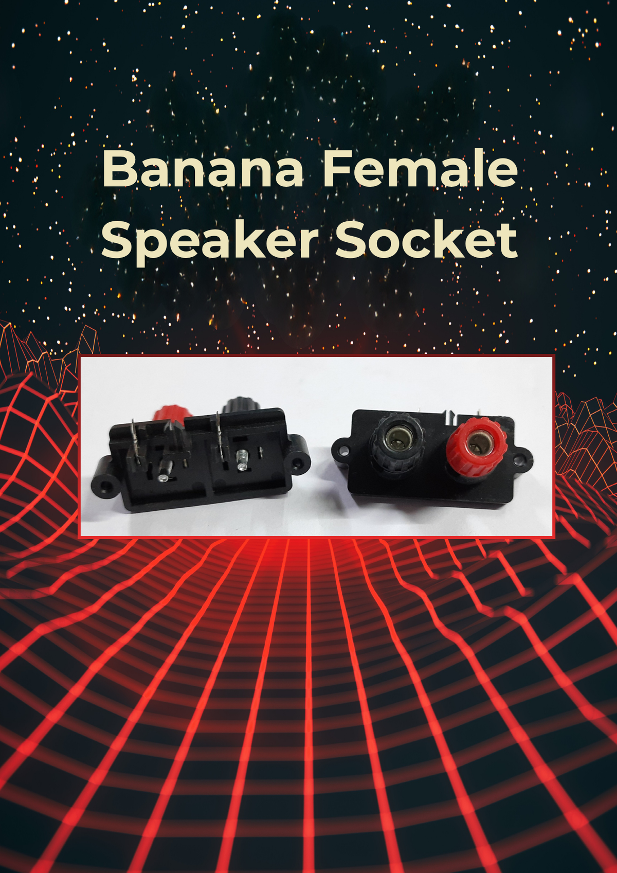 BANANA SPEAKER SOCKET DUAL