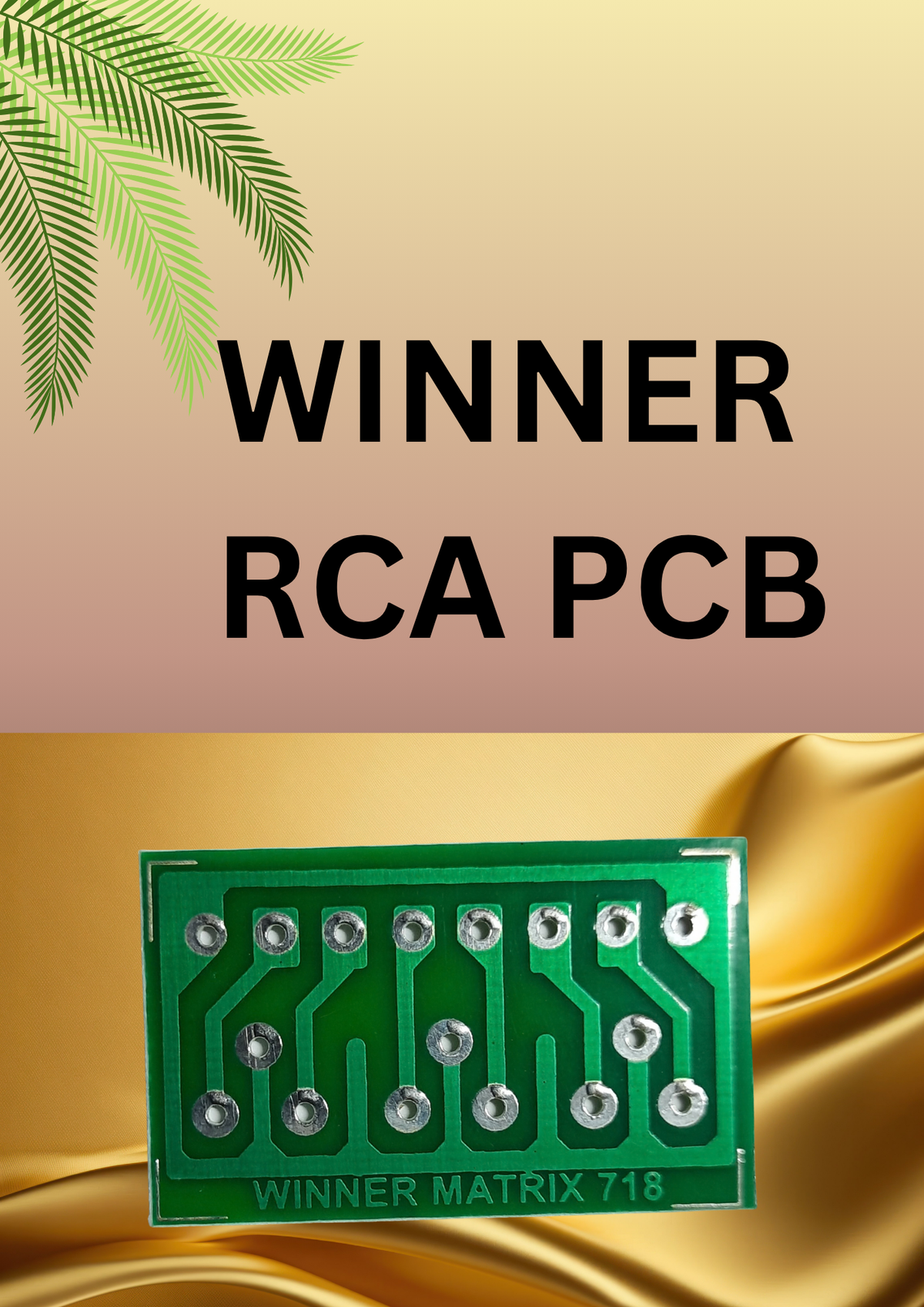 WINNER RCA PCB