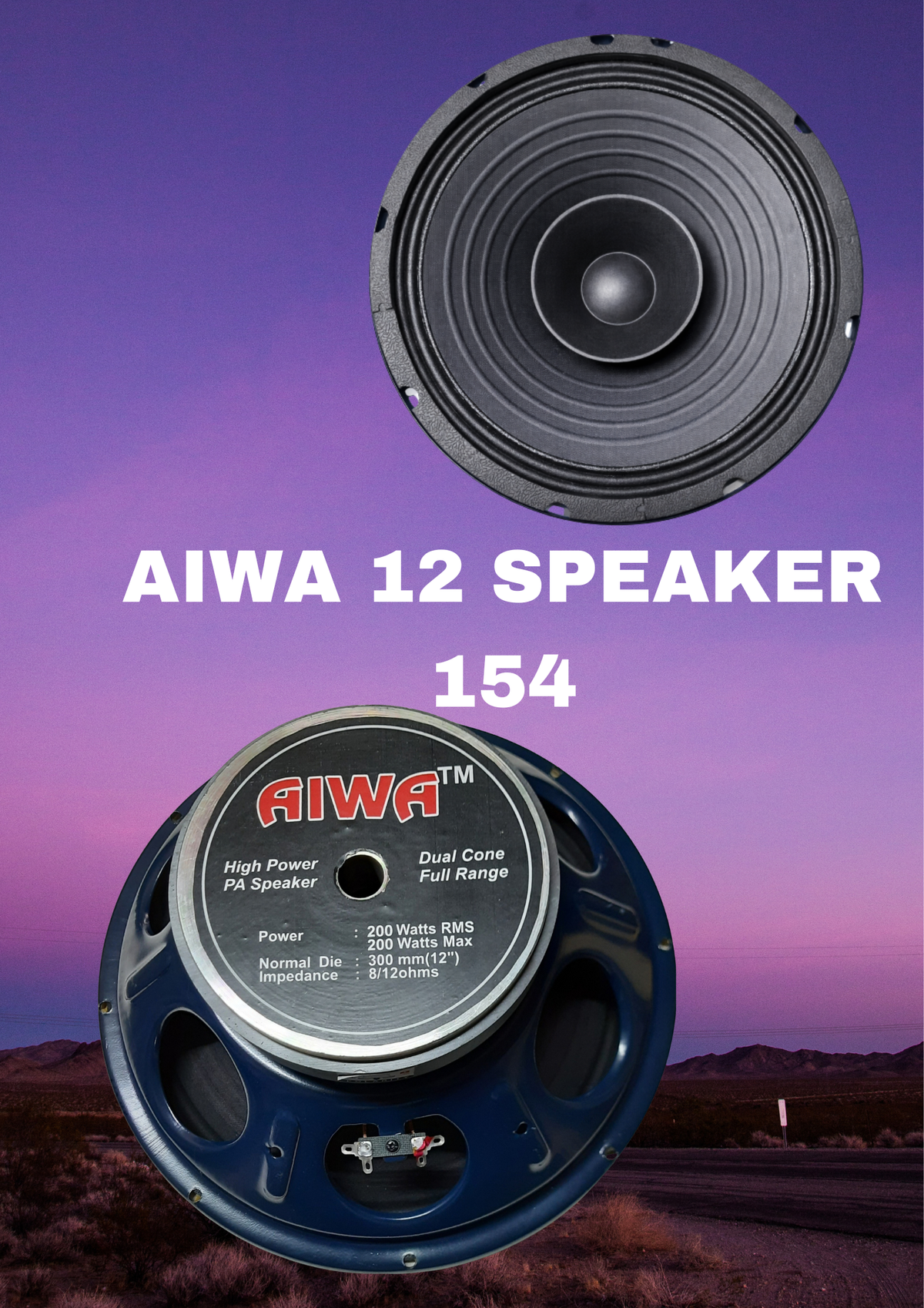 AIWA 12" HEAVY SPEAKER(155*20)