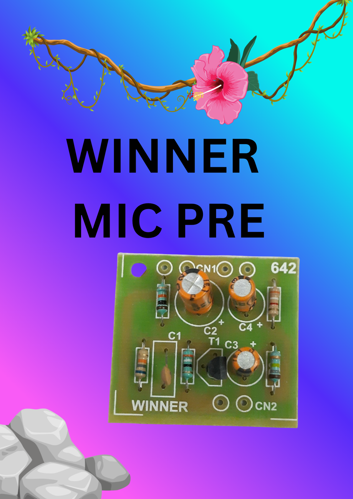 WINNER MIC PRE