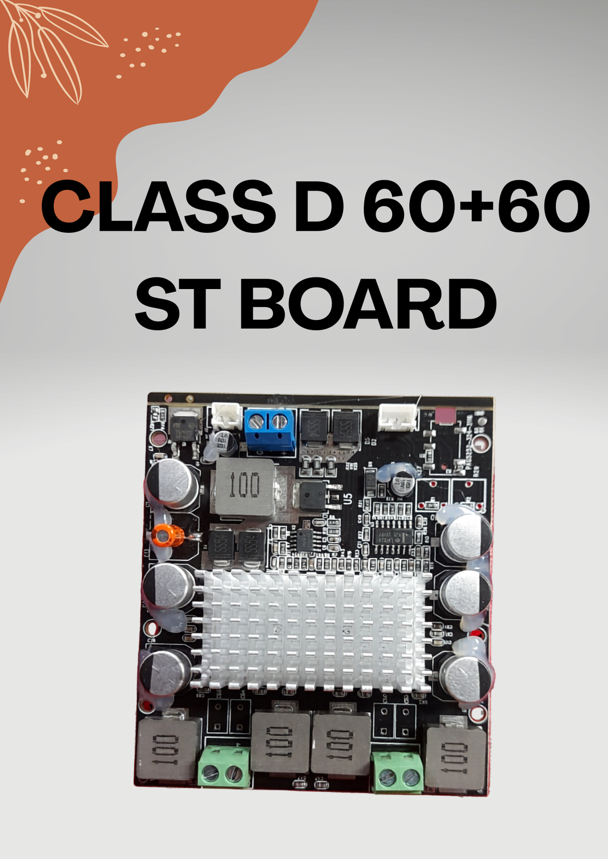 CLASS-D BOARD 60+60 ST