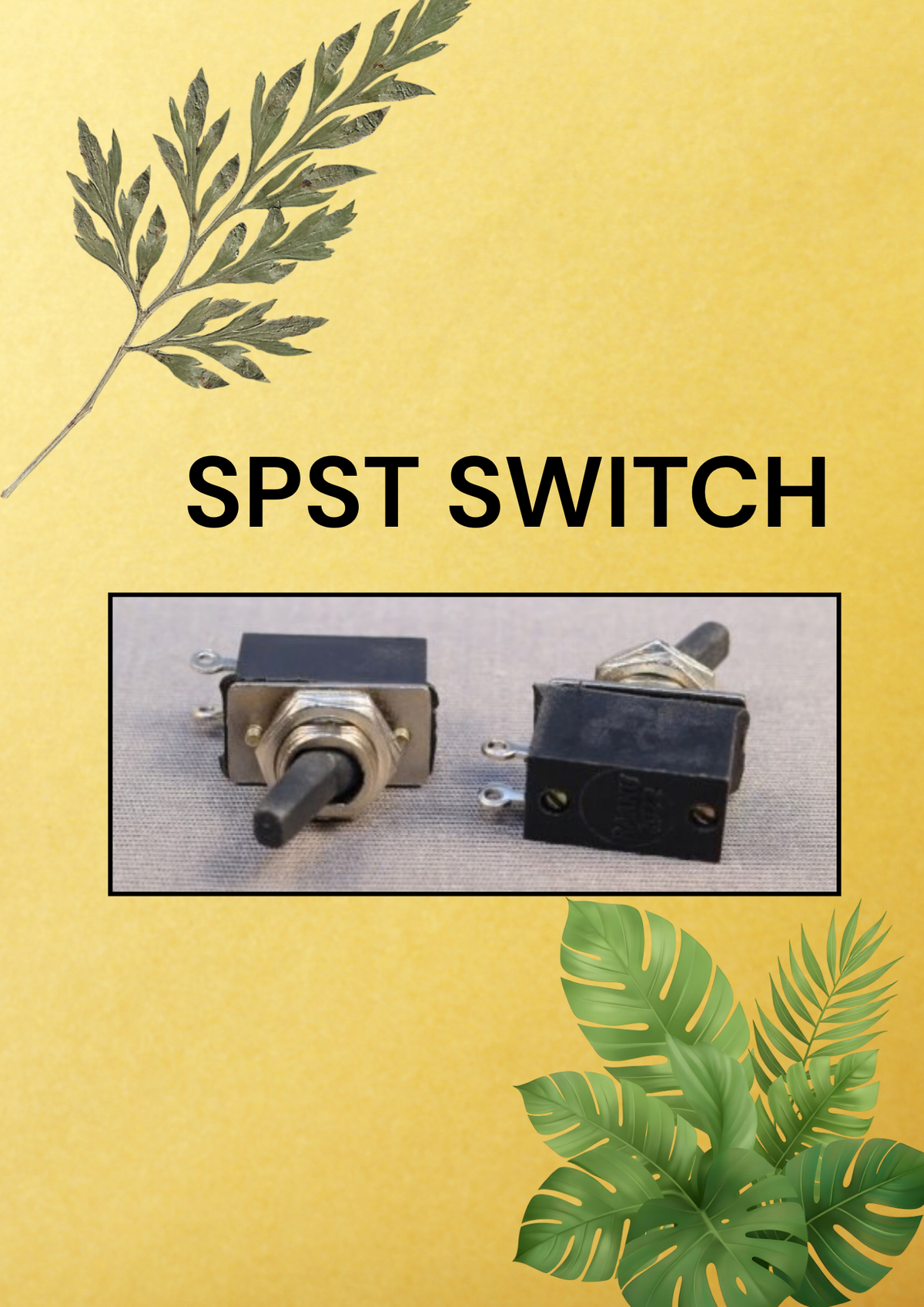 SPST SWITCH
