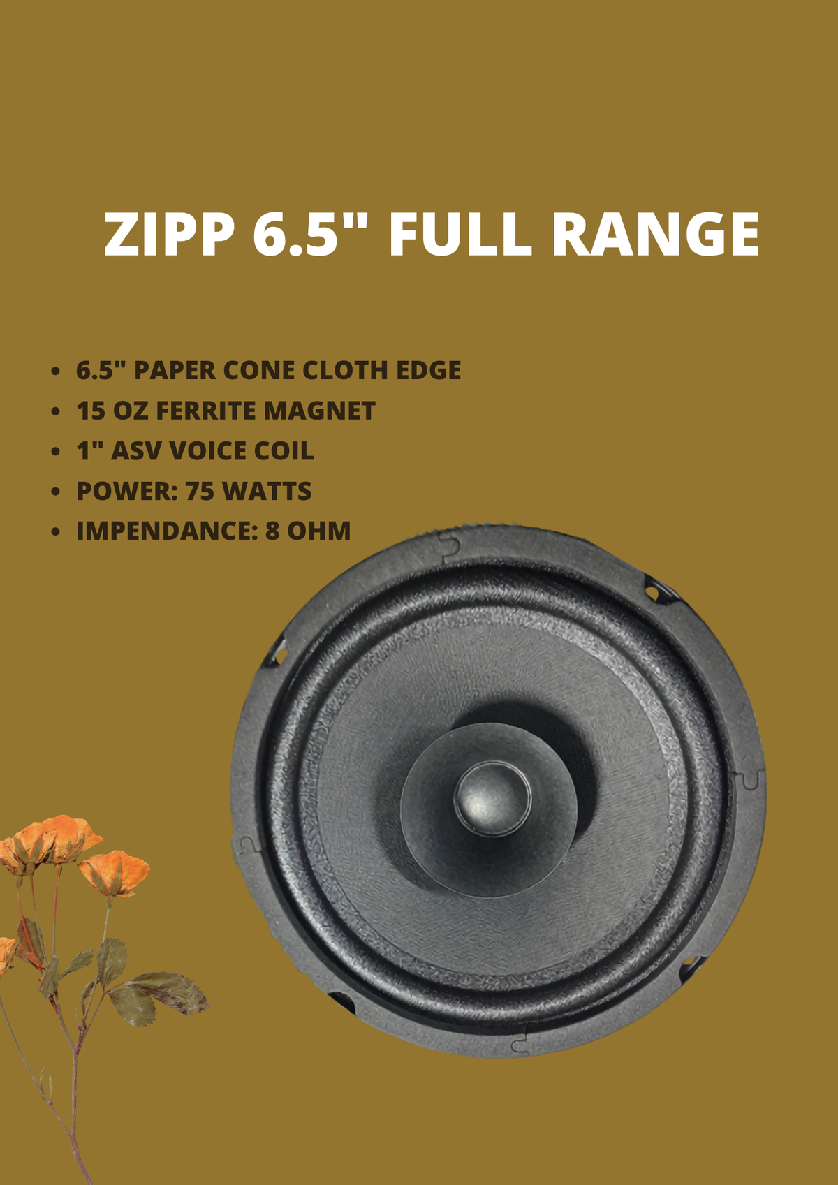 ZIPP 6.5" FULLRANGE