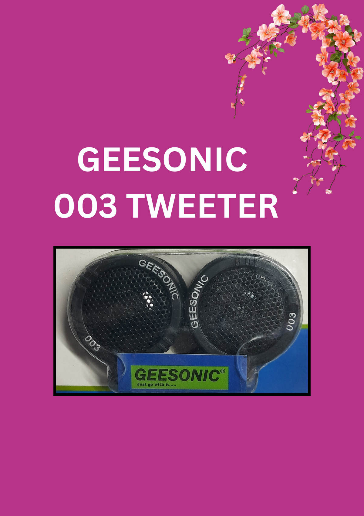 GEESONIC - 003