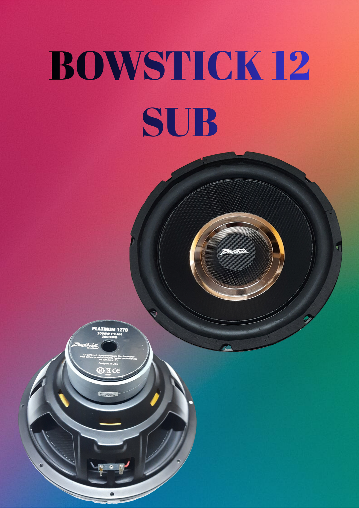 BOWSTRICK 12" SUBWOOFER