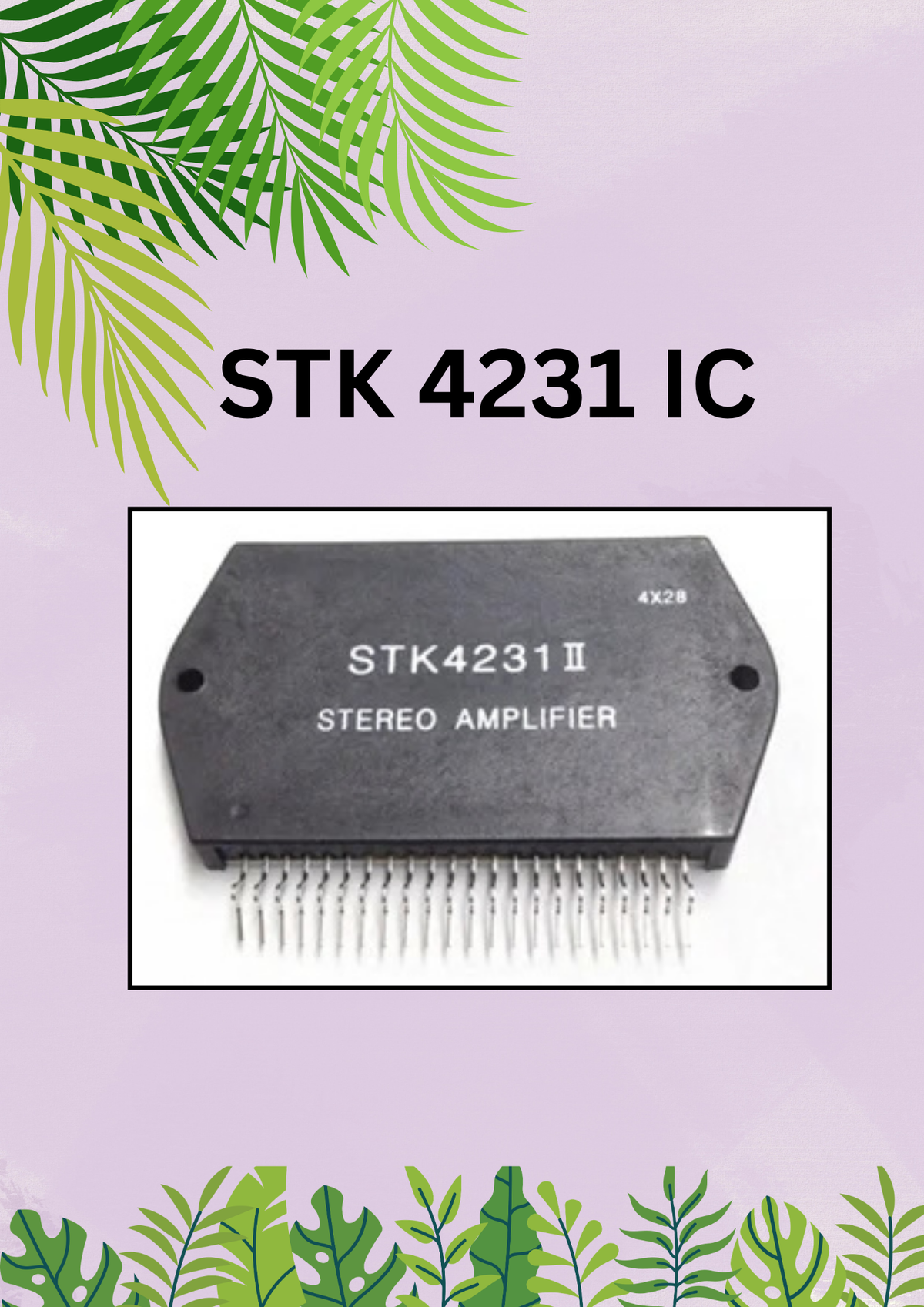 4231 IC CHI