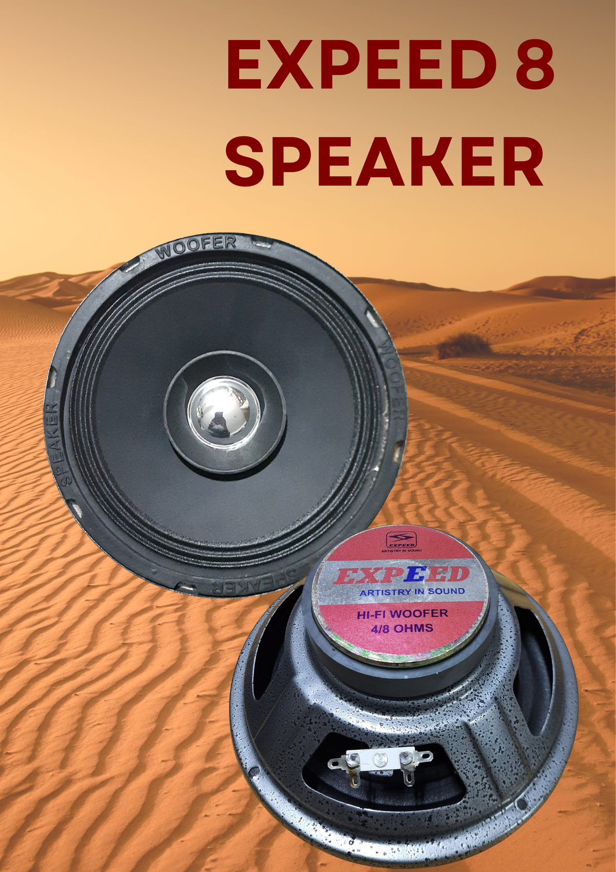 EXPEED 8" SPEAKER
