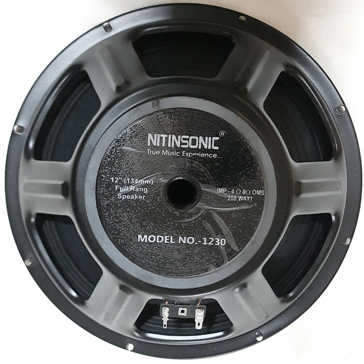 NITIN 12" SUB (NS-2000)