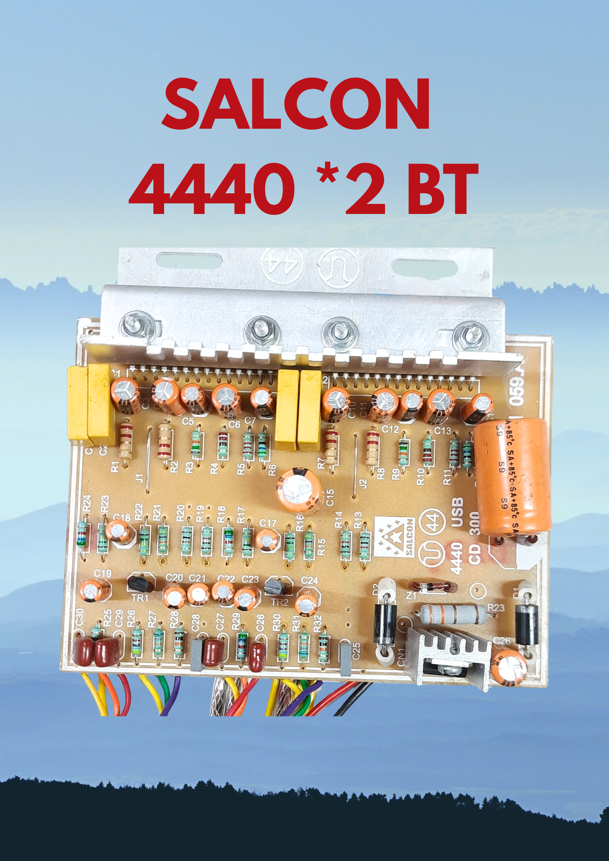 SALCON 059 4440 X2 BT FULL BOARD KELTRON