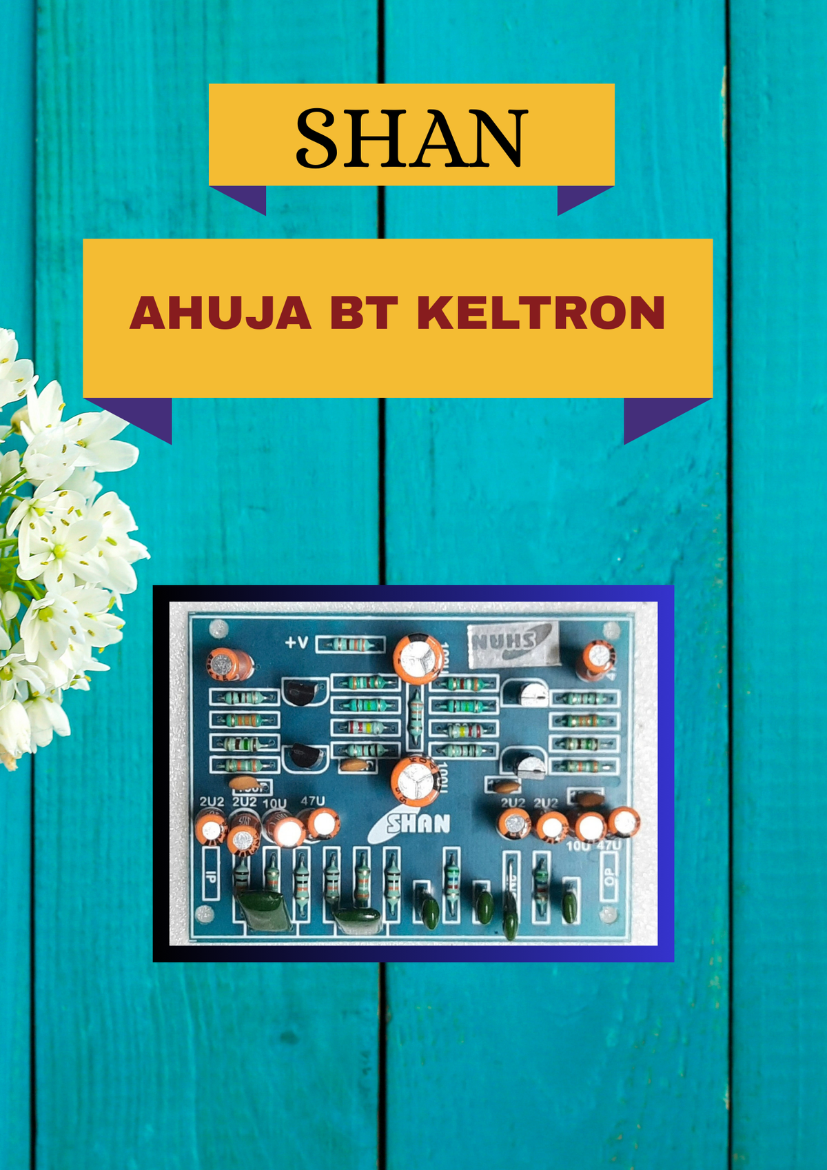 SHAN AHUJA BT KELTRON