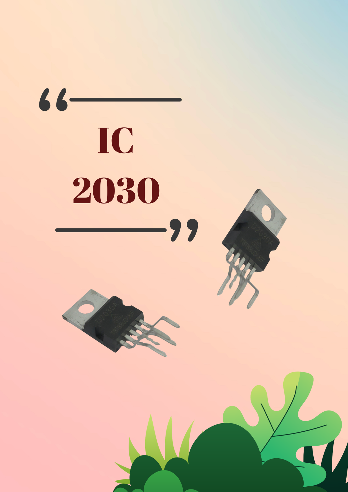 2030 IC