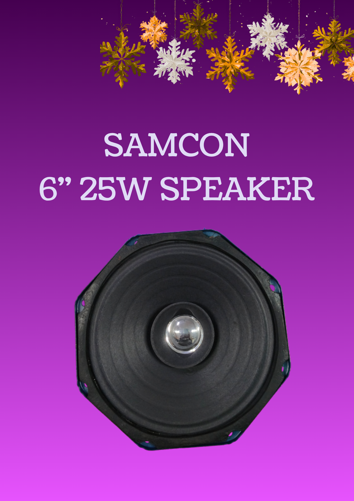 SAMCON 6"25W SPEAKER