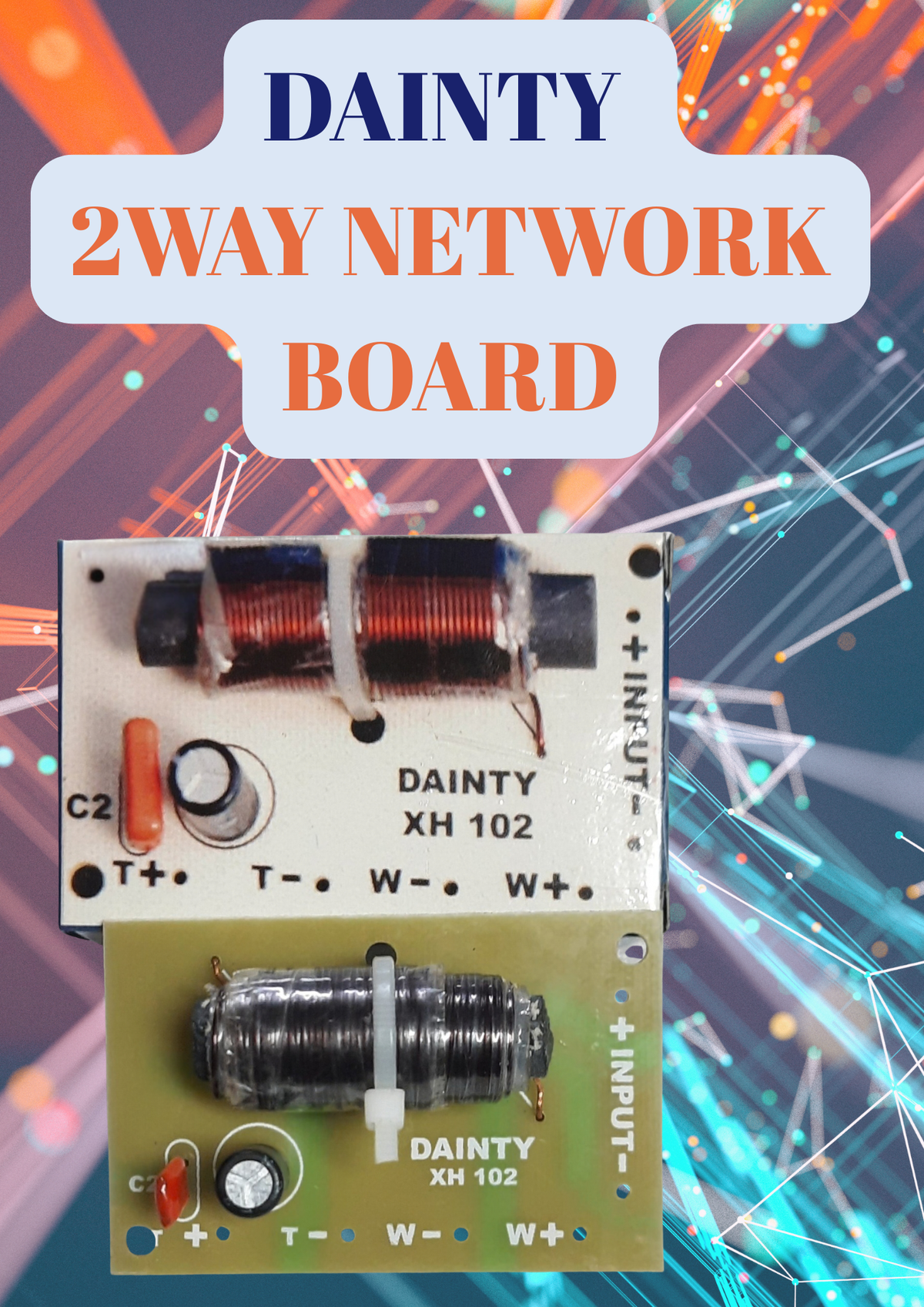 DAINTY 2 WAY NETWORK