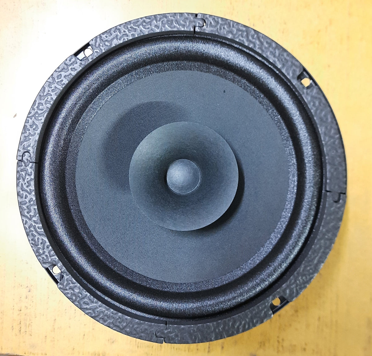 ZIPP 8" FULL RANGE SPEAKER