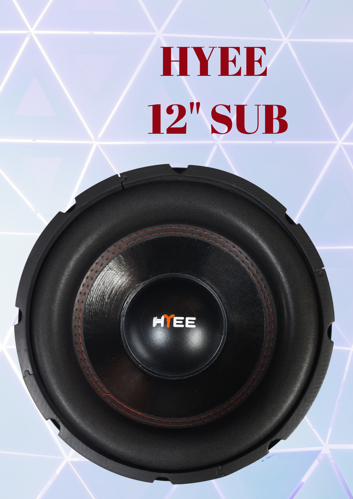 HYEE 12" SUBWOOFER