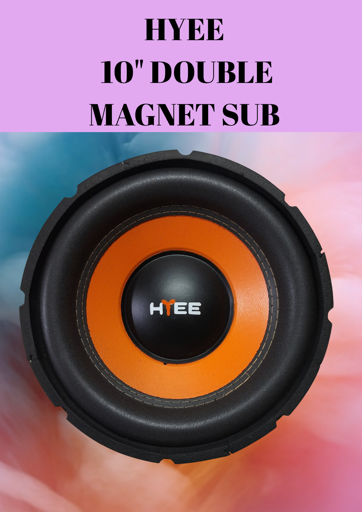 HYEE 10" SUBWOOFER