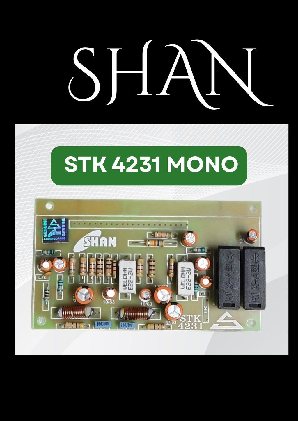 SHAN 4231 MONO