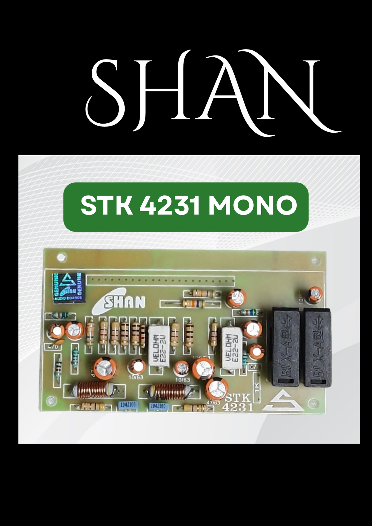 SHAN 4231 MONO