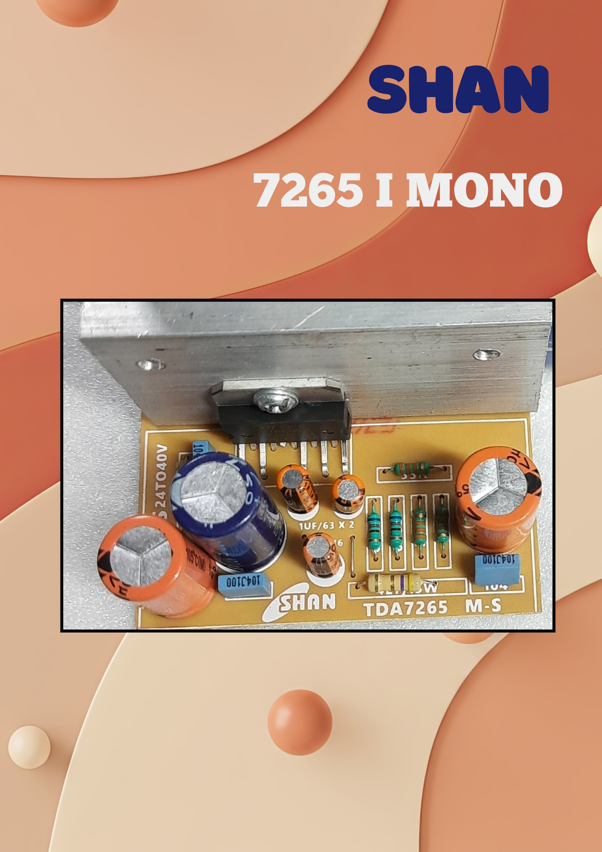 SHAN 7265-I 24V SPS BD MONO