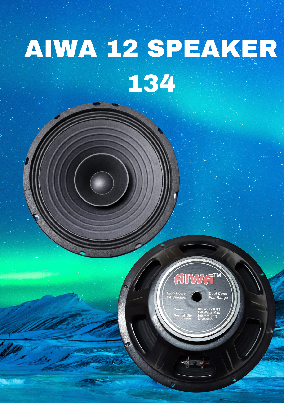 AIWA 12" SPEAKER (134*20)