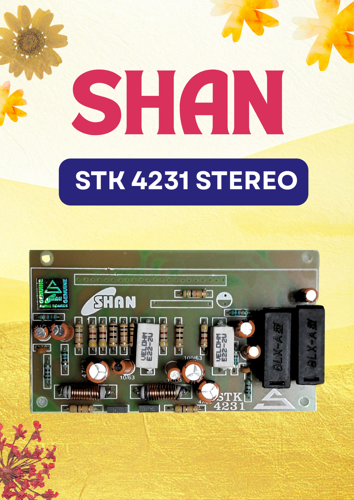 SHAN 4231 STEREO